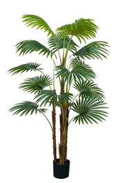 DKD Home Decor Palmera Kwai Verde 90x90x180 cm