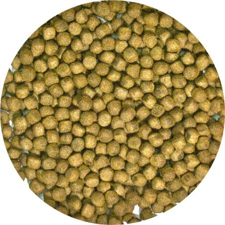 ZooMed Alimento Completo Tortuga Acuática Mantenimiento 340g ZooMed Alimento Completo Tortuga Acuática Mantenimiento 340g