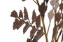 DKD Home Decor Decoración de Pared Metal Ramas Beige