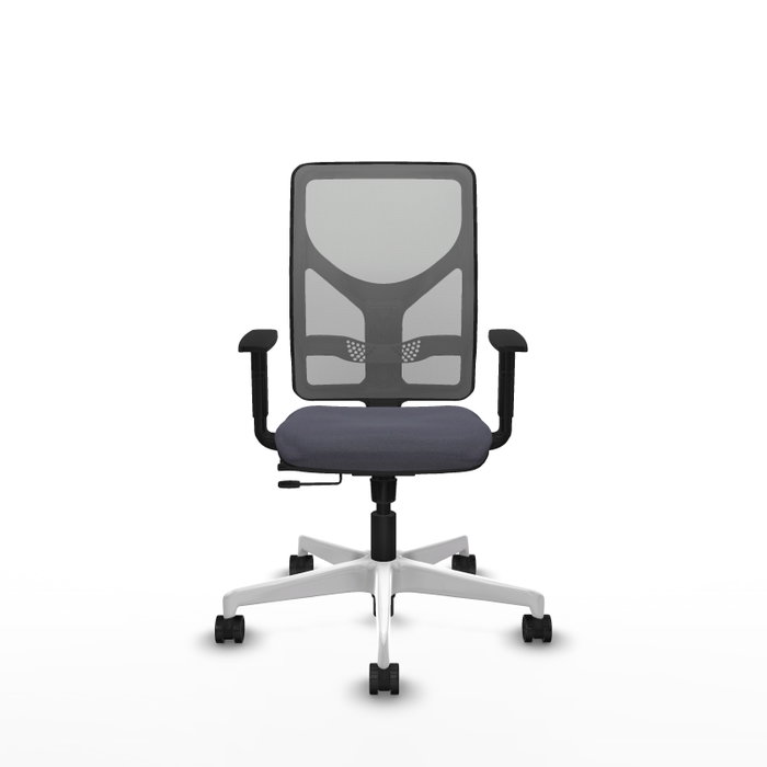 PIQUERAS Y CRESPO Silla de oficina Motilla con mecanismo Sincro/Traslack, Gris PIQUERAS Y CRESPO Silla de oficina Motilla con mecanismo Sincro/Traslack, Gris