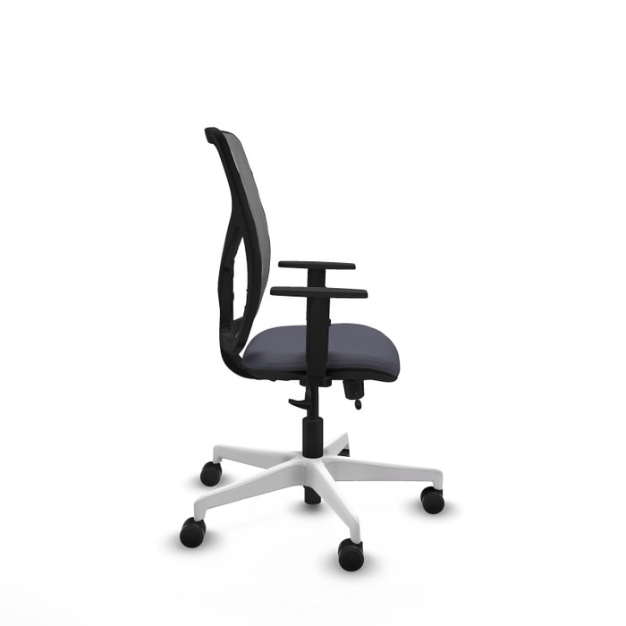PIQUERAS Y CRESPO Silla de oficina Motilla con mecanismo Sincro/Traslack, Gris PIQUERAS Y CRESPO Silla de oficina Motilla con mecanismo Sincro/Traslack, Gris