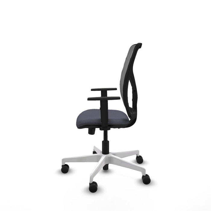 PIQUERAS Y CRESPO Silla de oficina Motilla con mecanismo Sincro/Traslack, Gris PIQUERAS Y CRESPO Silla de oficina Motilla con mecanismo Sincro/Traslack, Gris