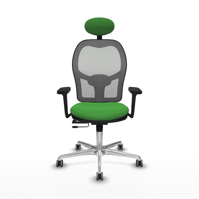PIQUERAS Y CRESPO Silla de oficina Jorquera con Mecanismo Sincro/Traslack, Verde y Gris PIQUERAS Y CRESPO Silla de oficina Jorquera con Mecanismo Sincro/Traslack, Verde y Gris