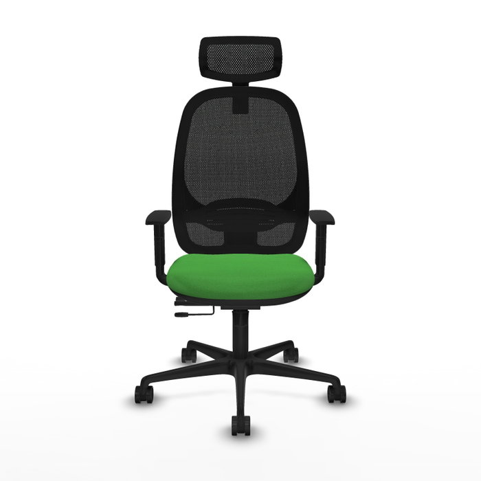 PIQUERAS Y CRESPO Silla de oficina Cilanco Verde con mecanismo Sincro/Traslack PIQUERAS Y CRESPO Silla de oficina Cilanco Verde con mecanismo Sincro/Traslack