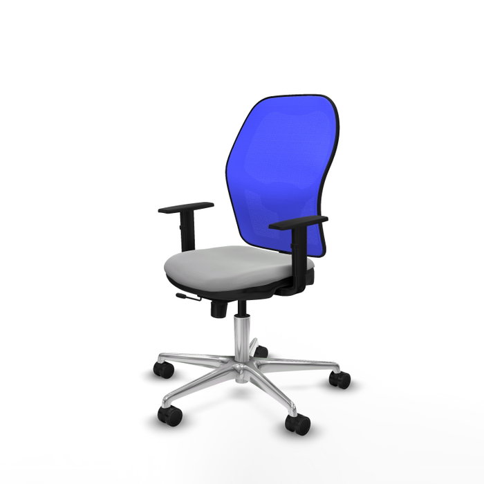 PIQUERAS Y CRESPO Silla de oficina Jorquera con mecanismo Sincro/Traslack, Gris claro y Azul PIQUERAS Y CRESPO Silla de oficina Jorquera con mecanismo Sincro/Traslack, Gris claro y Azul