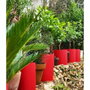Riviera Contenedor Granito Redondo 40 Rojo