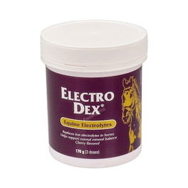VETNOVA VET Electro Dex Mini 170 G Sales Solubles Vet