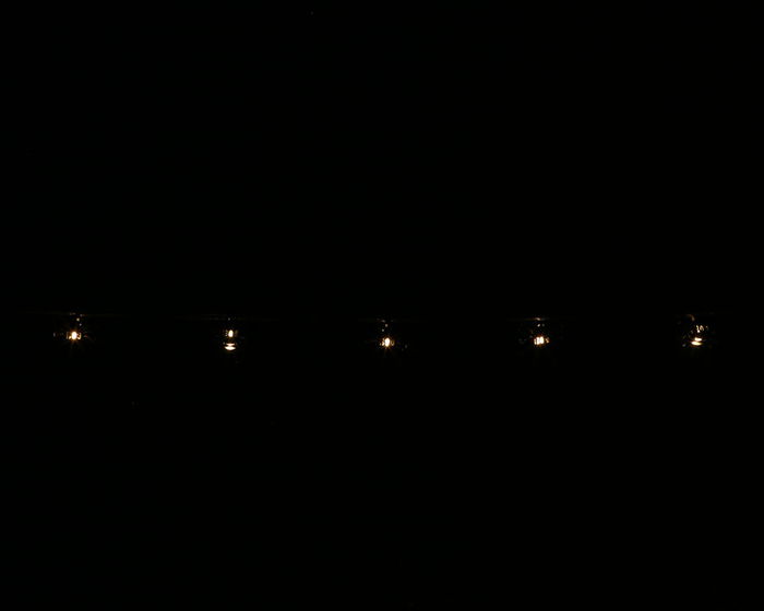 Guirnalda 165 cm con Arañas Negras Iluminadas Halloween Accesorio