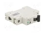 Promfactor Baltic Interruptor magnetotérmico ECO 10A 1 polo