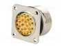 LAPP Conector Industrial M27 ZYLIN Hembra 21 Pines