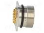 LAPP Conector Industrial M27 ZYLIN Hembra 21 Pines