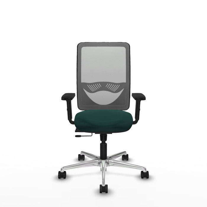 PIQUERAS Y CRESPO Silla de oficina Zulema con mecanismo Sincro/Traslack, Verde botella y Gris PIQUERAS Y CRESPO Silla de oficina Zulema con mecanismo Sincro/Traslack, Verde botella y Gris