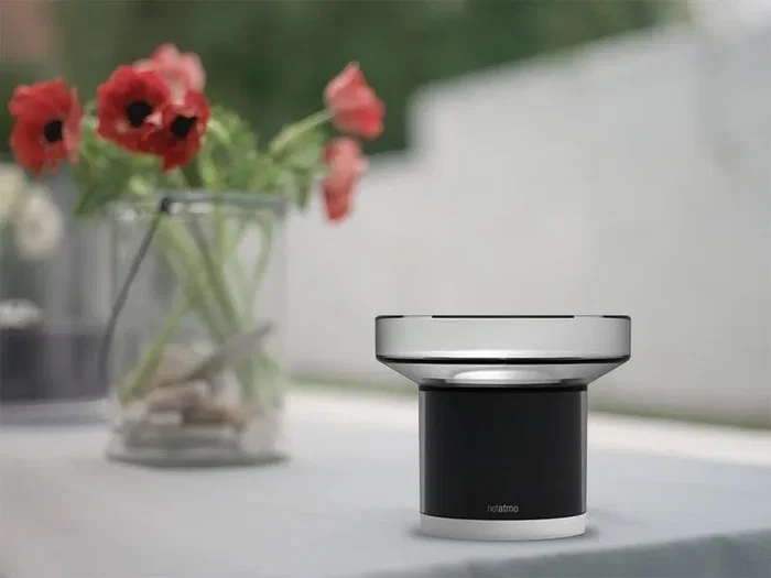 NetAtmo Pluviómetro Inteligente NRG01-WW Negro