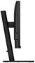 Philips 32B2U3601/00 Monitor Quad HD de 31.5 pulgadas IPS