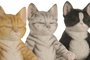 DKD Home Decor Figuras de Resina de Gatos, Surtido de 3 Piezas Multicolor
