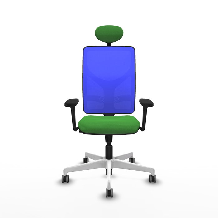 PIQUERAS Y CRESPO Silla de oficina Motilla con Mecanismo Sincro, Tela Verde y Malla Azul PIQUERAS Y CRESPO Silla de oficina Motilla con Mecanismo Sincro, Tela Verde y Malla Azul