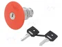 SCHNEIDER ELECTRIC Interruptor de seguridad con llave Harmony XB4 rojo