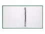 Liderpapel Carpeta de 4 Anillas Mixtas Verde Folio