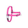 Red Dingo Petral Red Dingo No-Pull XL Fucsia (Set de 10)