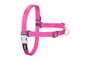 Red Dingo Petral Red Dingo No-Pull XL Fucsia (Set de 10)