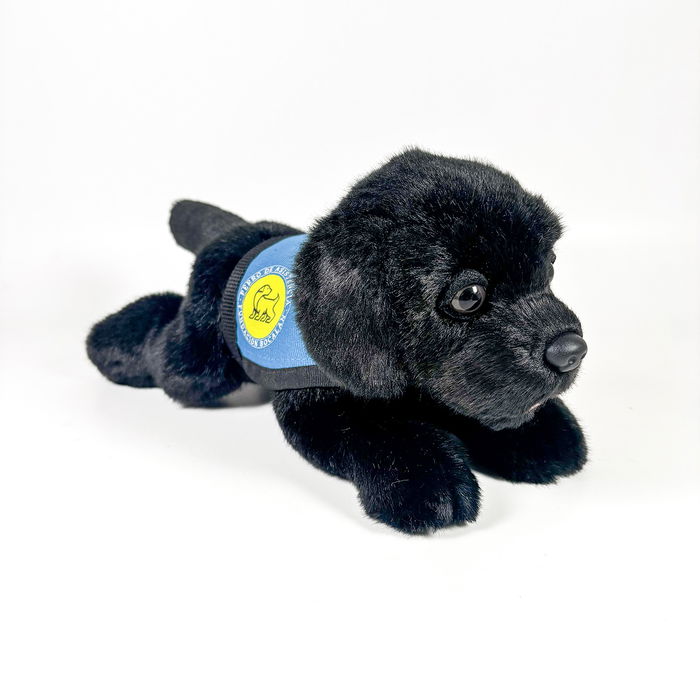 DEQUBE Peluche Labrador Negro 21Cm Con Chaleco 939D00249