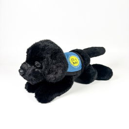 DEQUBE Peluche Labrador Negro 21Cm Con Chaleco 939D00249