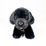 DEQUBE Peluche Labrador Negro 21Cm Con Chaleco 939D00249