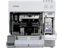 Epson SJIC15P C33S020464 Cartucho de Tinta de 3 Colores
