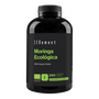 ZENEMENT Moringa 600 mg 260 cápsulas ECO