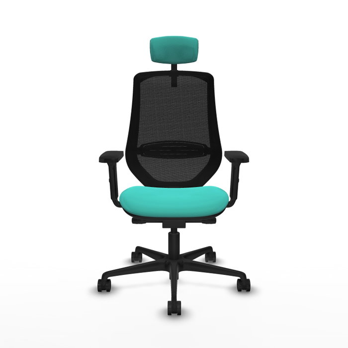 PIQUERAS Y CRESPO Silla de oficina Mardos con mecanismo Sincro/Traslack, Turquesa y Negro PIQUERAS Y CRESPO Silla de oficina Mardos con mecanismo Sincro/Traslack, Turquesa y Negro
