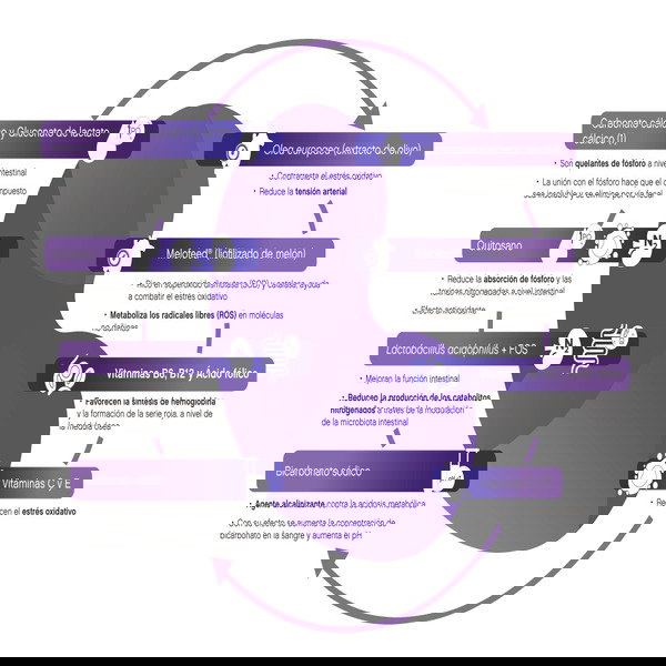 Renaldine Polvo Oral Renaldine Powder 70 g Renaldine Polvo Oral Renaldine Powder 70 g