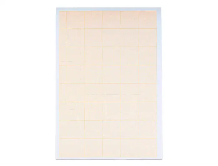 Liderpapel Papel de dibujo milimetrado DIN A4 80g/m2 pack de 10 hojas Liderpapel Papel de dibujo milimetrado DIN A4 80g/m2 pack de 10 hojas