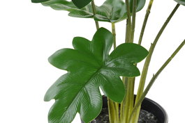 DKD Home Decor Planta Verde 20 x 40 x 20 cm (6 Unidades)