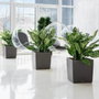 Lechuza Maceta Cube Premium 50 Negro Brillante