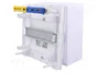 ELEKTRO-PLAST NASIELSK Economic Box Carcasa para Aparatos Modulares de 6 Módulos, Blanco