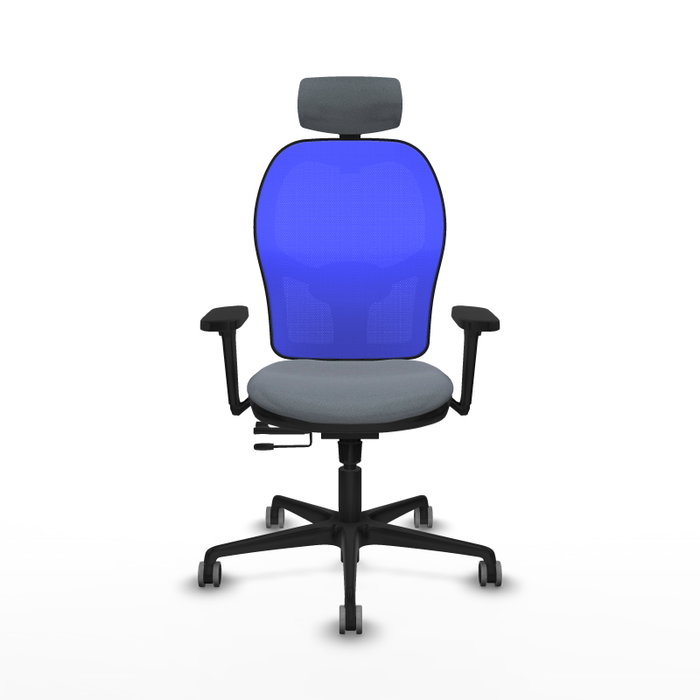PIQUERAS Y CRESPO Silla de oficina Jorquera con mecanismo Sincro/Traslack, Gris y Azul PIQUERAS Y CRESPO Silla de oficina Jorquera con mecanismo Sincro/Traslack, Gris y Azul