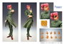 Medicos Entertainment JoJo's Bizarre Adventure Figura Super Action Chozokado Noriaki Kakyoin 15 cm
