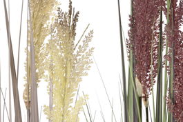 DKD Home Decor Planta 35 x 120 x 35 cm (2 Unidades) Marron Claro Lila PVC