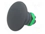 SCHNEIDER ELECTRIC Interruptor de presión Harmony XB5 negro 22mm