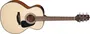 Takamine Gln12 E/A (Tep3) Nex Cutway Guitarra Electroacústica Natural