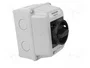 SPAMEL Interruptor de Leva 25A 0-1 Negro