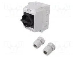 SPAMEL Interruptor de Leva 25A 0-1 Negro