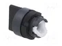 SCHNEIDER ELECTRIC Interruptor Rotativo Harmony XAC Negro 22mm