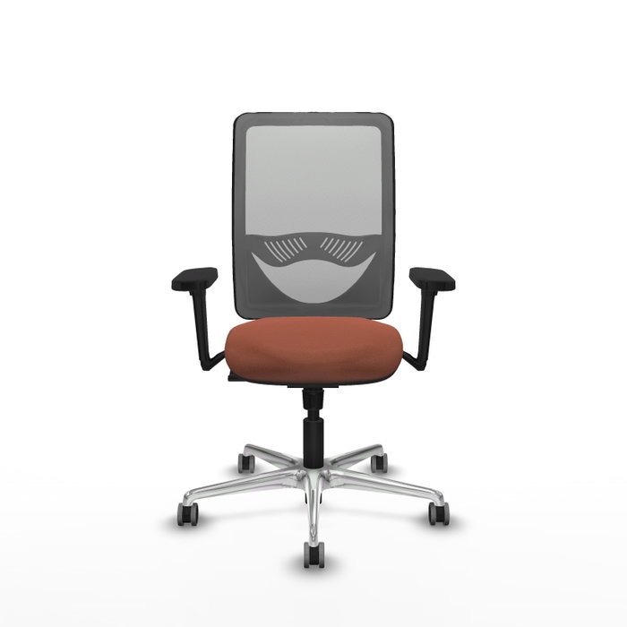 PIQUERAS Y CRESPO Silla de oficina Zulema con mecanismo Sincro, brazos 3D y respaldo de malla gris PIQUERAS Y CRESPO Silla de oficina Zulema con mecanismo Sincro, brazos 3D y respaldo de malla gris