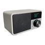 Sangean DDR-7 Glacier Silver - Radio Digital Personal DAB+/FM con Bluetooth 5.0, Pantalla OLED, Batería Recargable, Color Plata