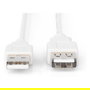 Digitus Cable Extensor Alargador USB 2.0 Tipo A Macho a Hembra, 1.8 Metros, Color Beige