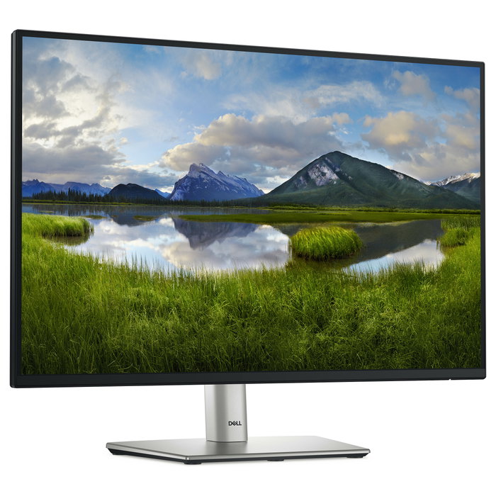 Dell P2425E Monitor WUXGA IPS 24 pulgadas 100Hz Negro Dell P2425E Monitor WUXGA IPS 24 pulgadas 100Hz Negro