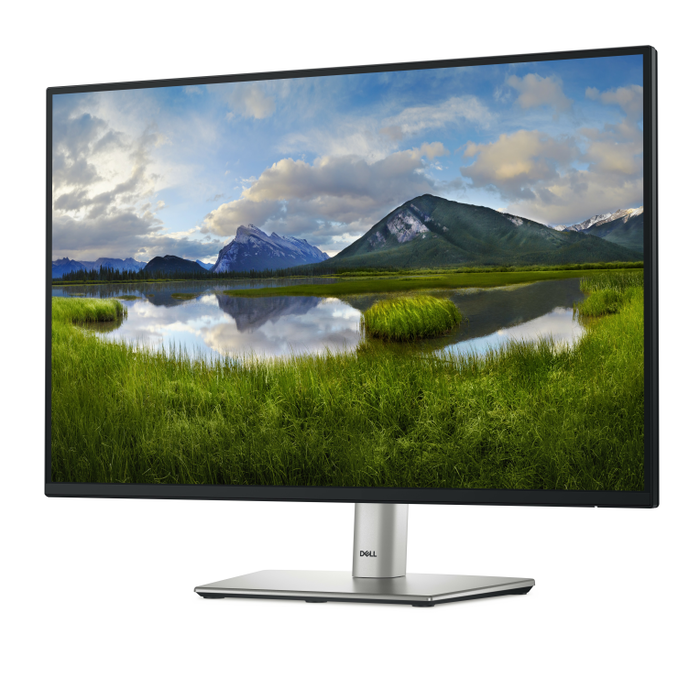 DELL Pro Plus P2425E - Monitor 61.1 cm (24.1") WUXGA 1920x1200 IPS, USB-C 90W, HDMI, DisplayPort, Negro, Ajustable, VESA