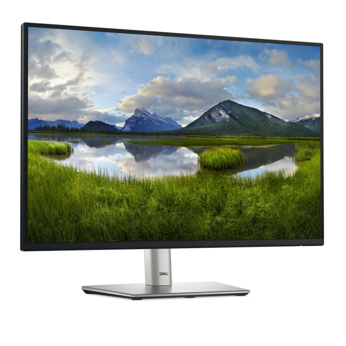 DELL Pro Plus P2425E - Monitor 61.1 cm (24.1") WUXGA 1920x1200 IPS, USB-C 90W, HDMI, DisplayPort, Negro, Ajustable, VESA