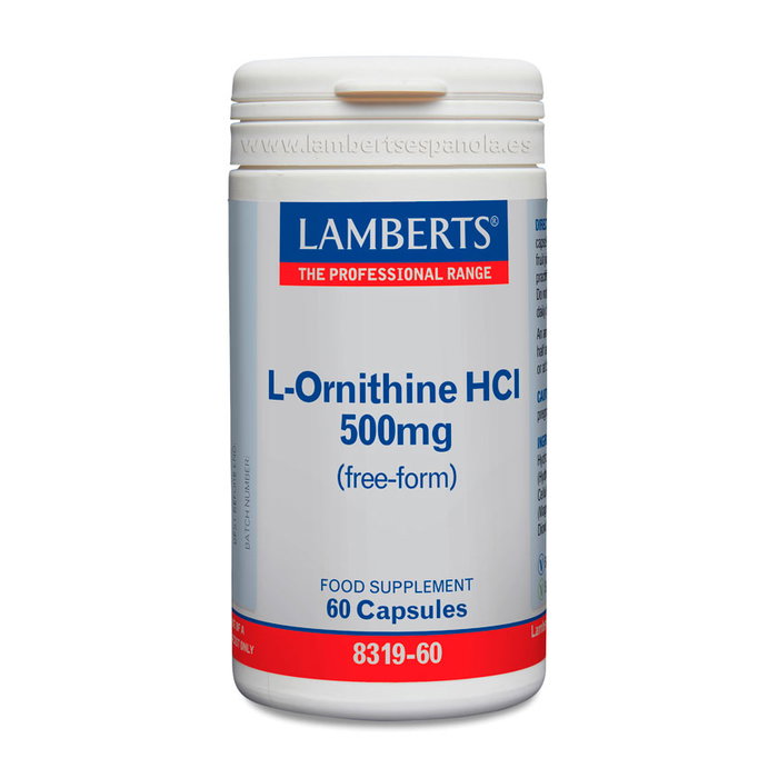 LAMBERTS L-Ornitina HCl 500 mg, 60 cápsulas LAMBERTS L-Ornitina HCl 500 mg, 60 cápsulas